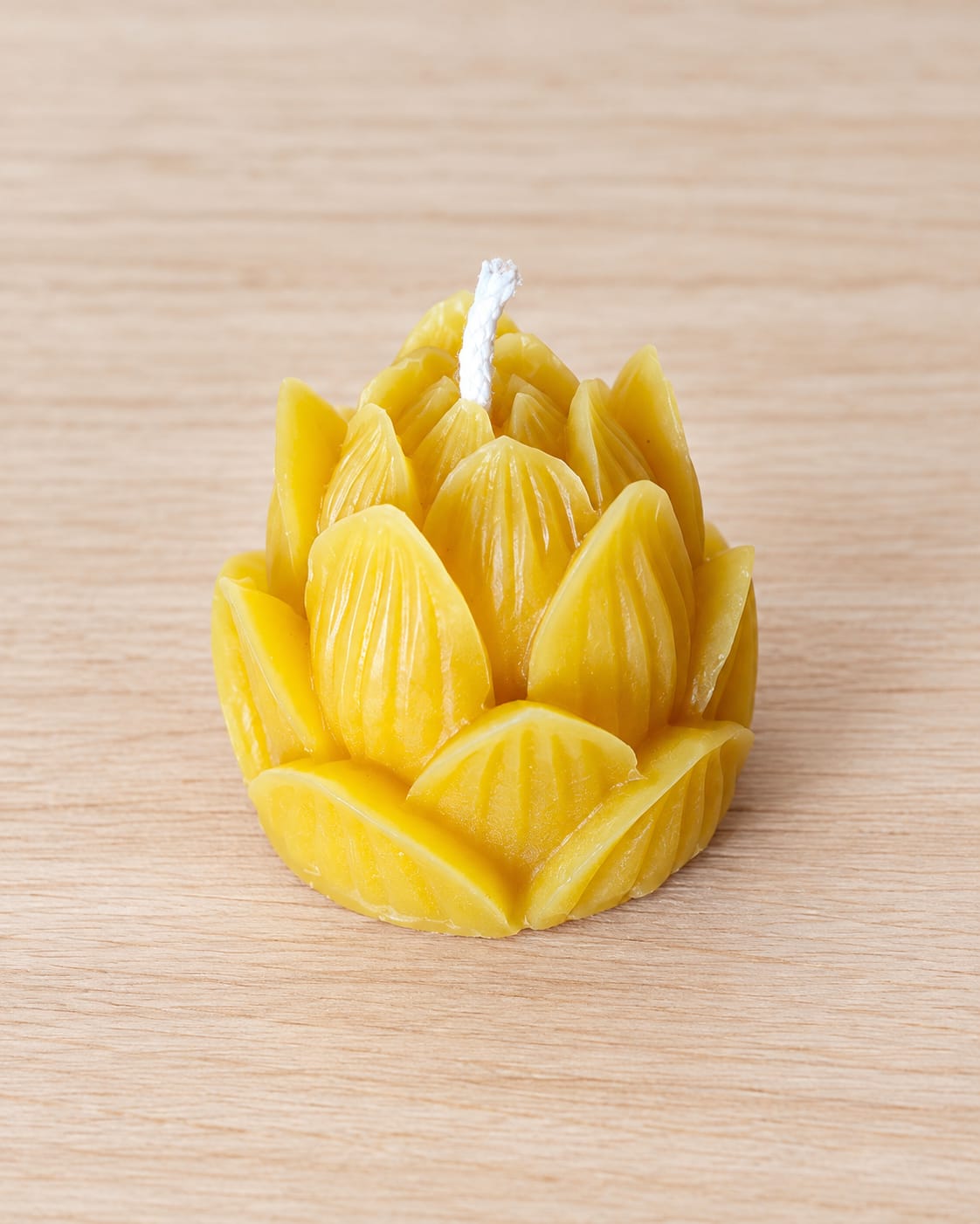 Il Fiore di Cera