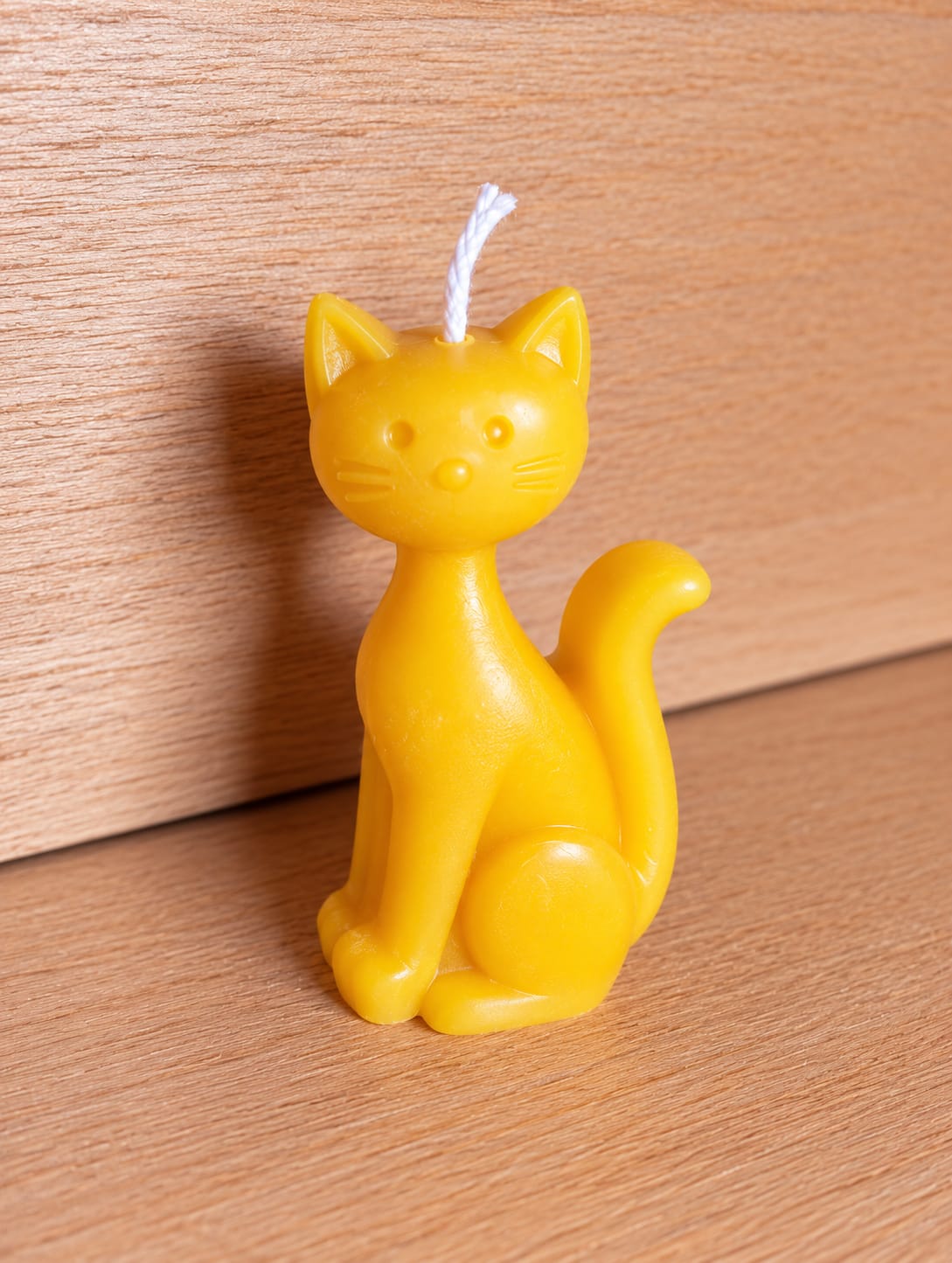 Il Gattino Curioso