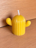 Il Piccolo Cactus