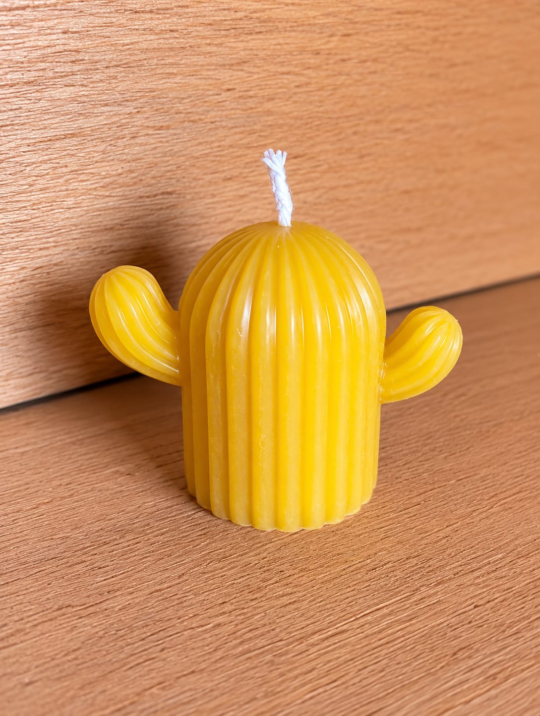 Il Piccolo Cactus